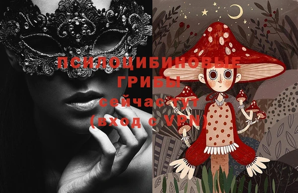 бошки Заводоуковск