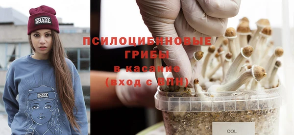 бошки Заводоуковск