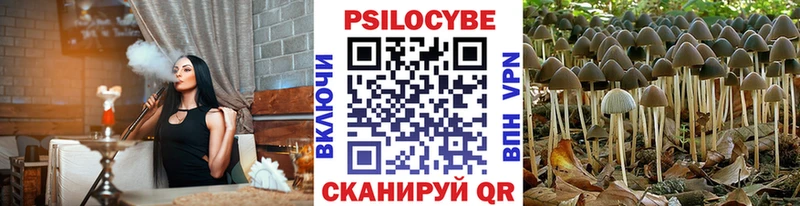 Купить закладки  Радужный  Псилоцибиновые грибы мицелий 